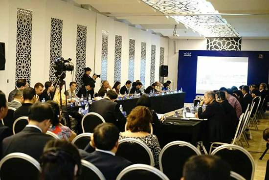 2015世界旅游城市联合会理事会成功召开 投票决定重庆市承办2016年峰会