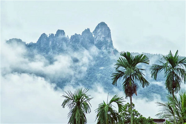 中旅旅行&海南省旅文厅携手在京举办“健康游 欢乐购”全国游海南启动仪式