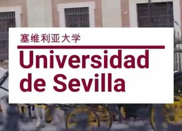 塞维利亚大学