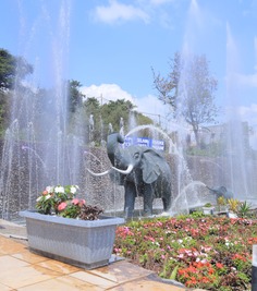 亚的斯亚贝巴_fororder_13 ‘selam’ (peace) park