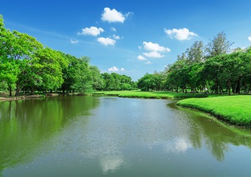 曼谷：水上集市 摇曳的市井风情