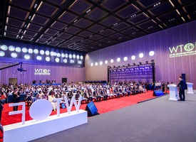 2025世界旅游合作与发展大会图集