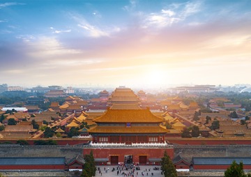 北京：在红墙绿瓦间观鸟