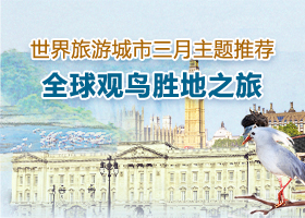 世界旅游城市三月主题推荐—全球观鸟胜地之旅_fororder_280